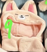 一代手燈套寅