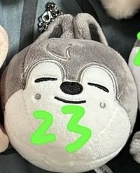 熱氣球娃燦