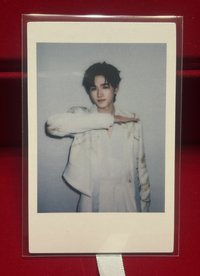 白拍