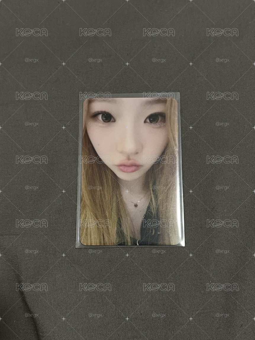 Focus ny簽售2.0 Stella