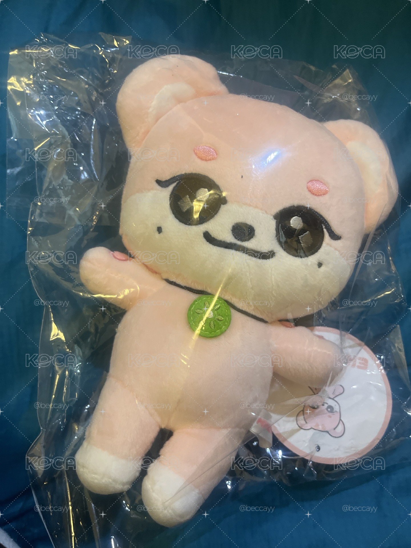 20cm瑞娃