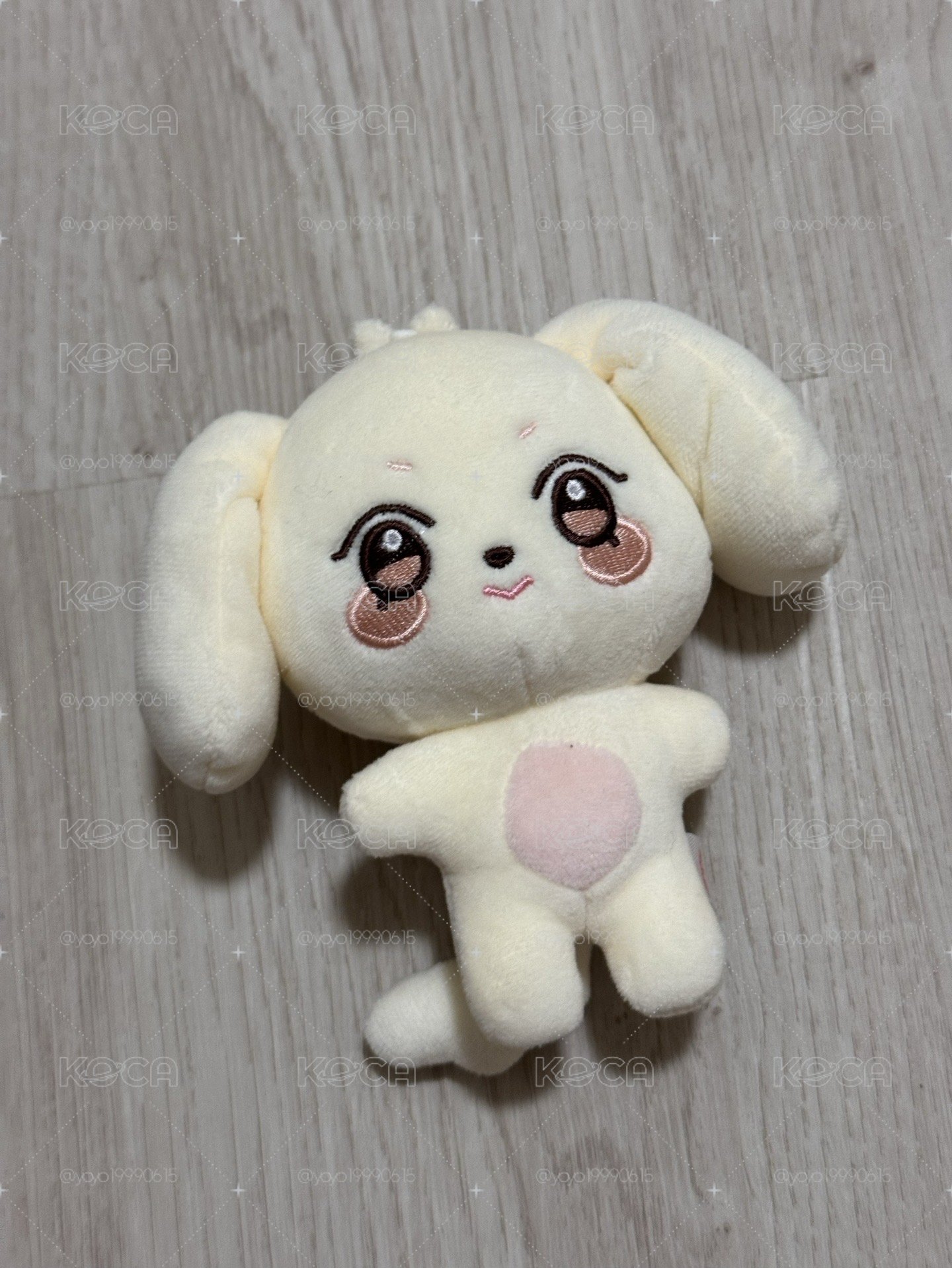 原皮尚