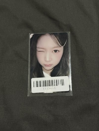 Focus kms線上1.0 中背 Yeon 原袋未拆