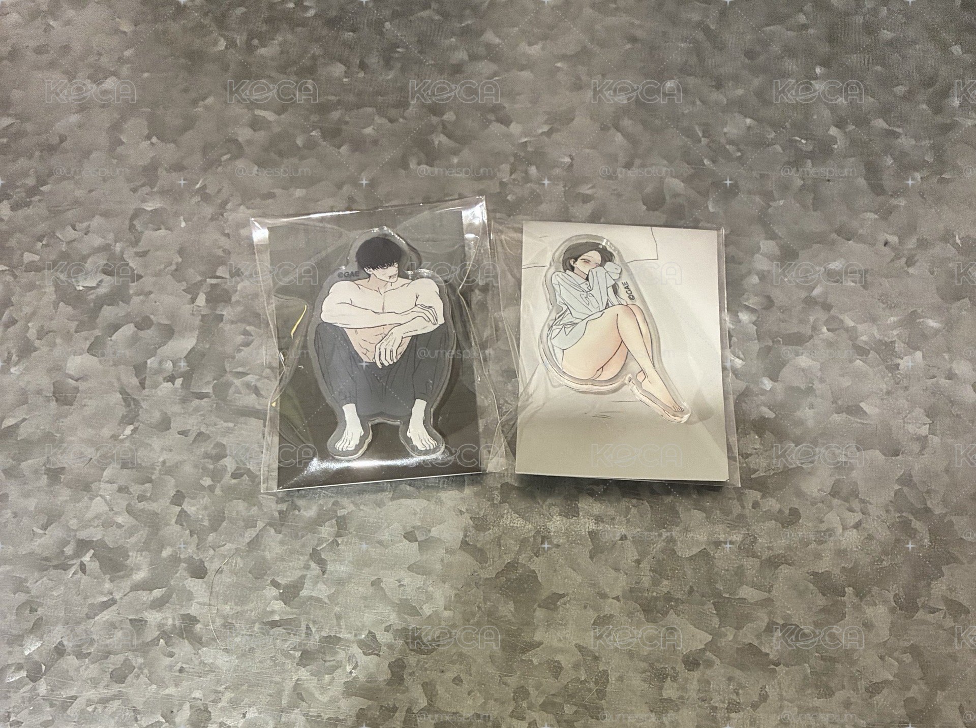枯萎的花淚memo夾