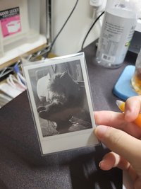 rolo拍立得