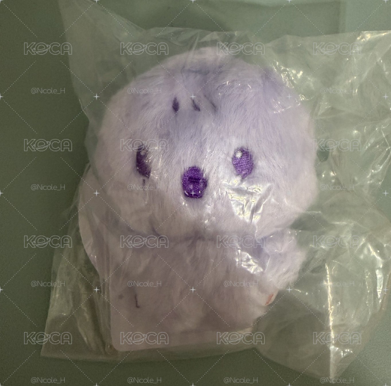 現貨 ANITEEZ in color 旼琦