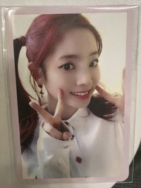 敲敲專卡2