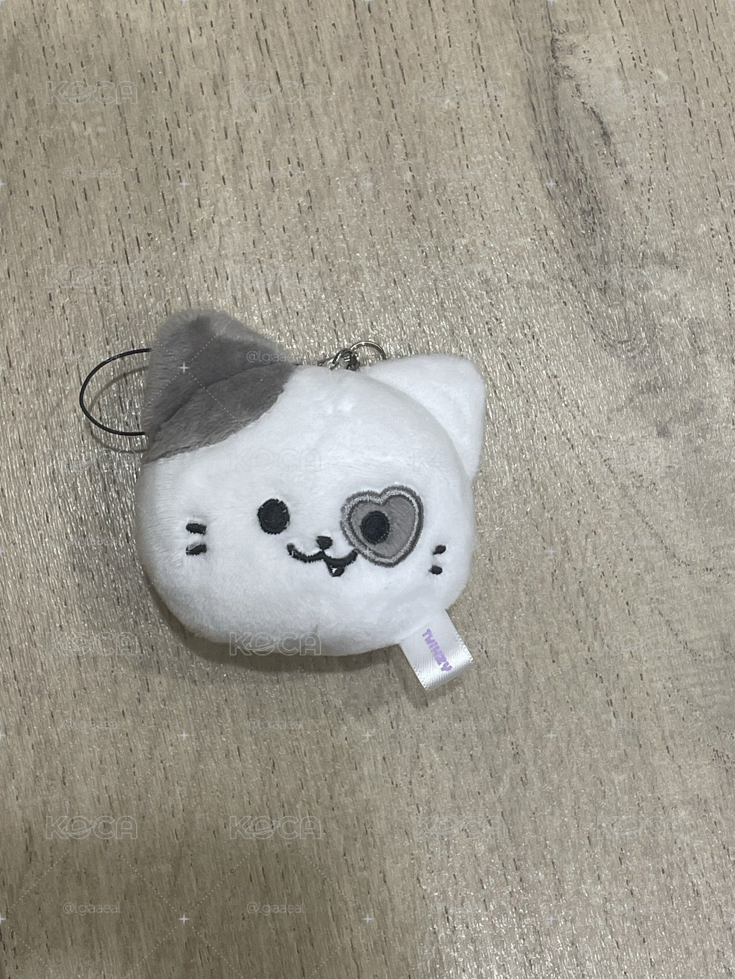 原皮志