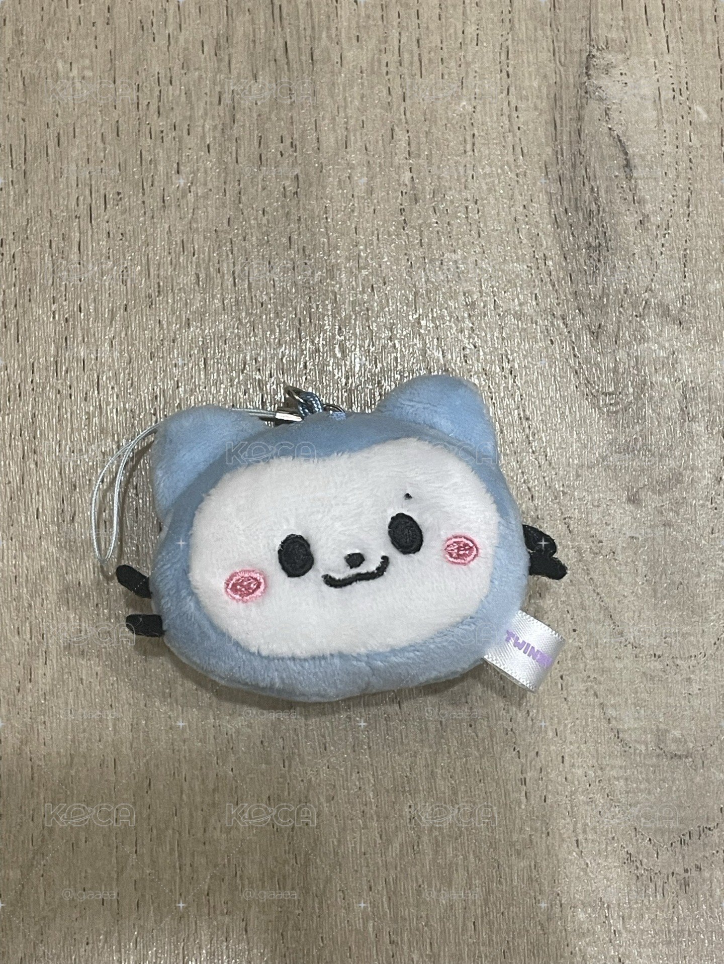 原皮留