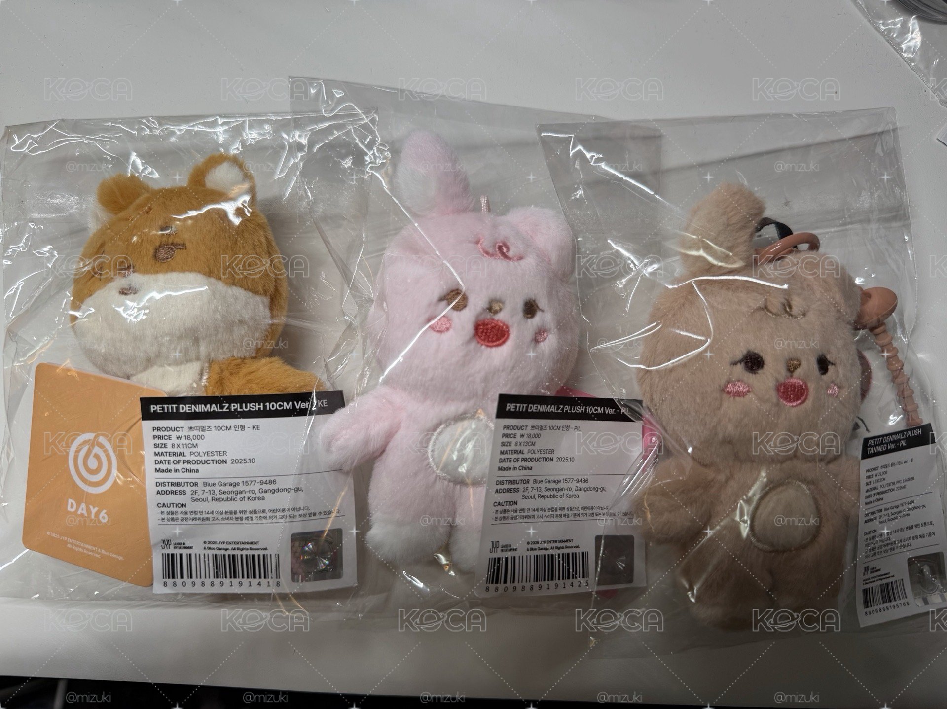 10cm、曬黑娃