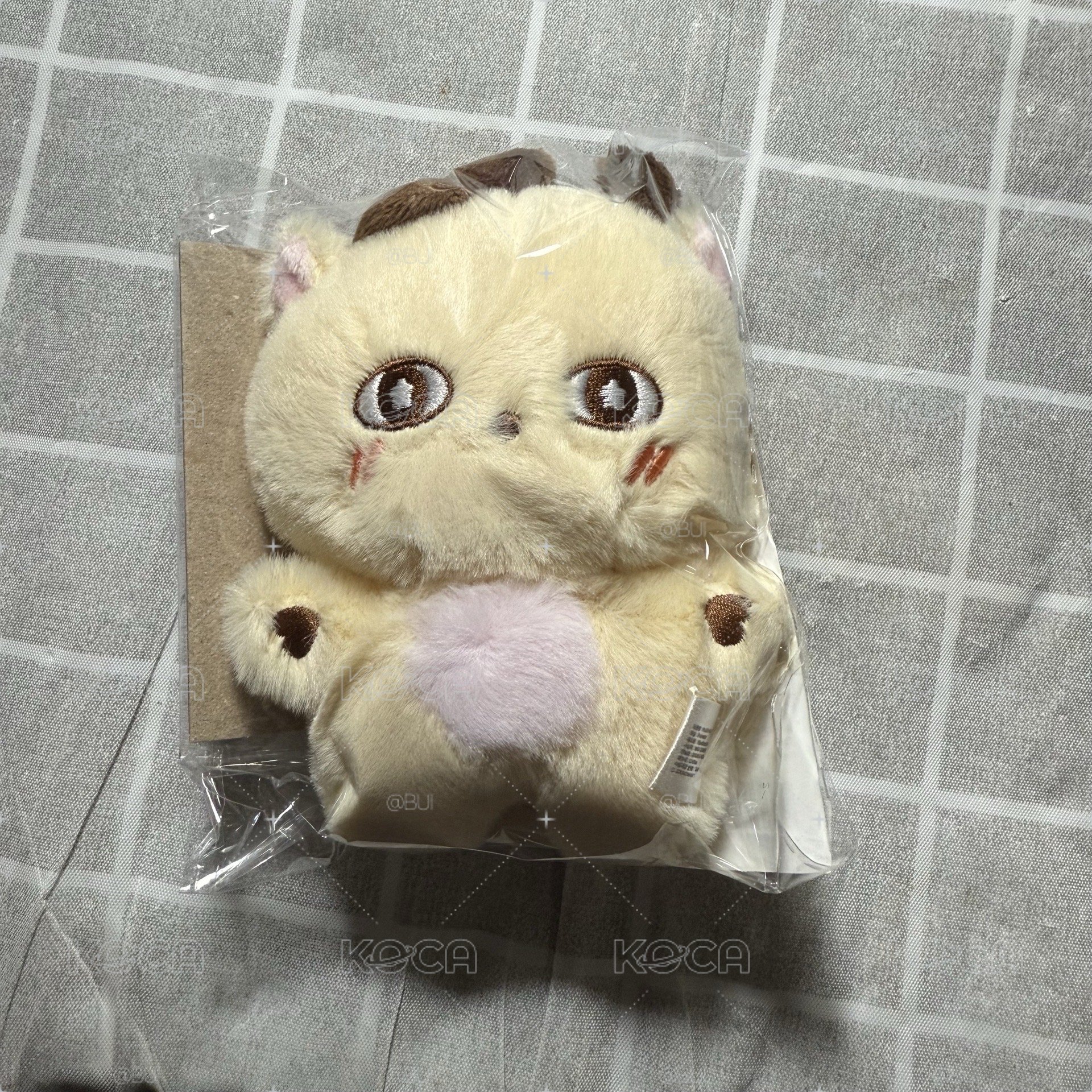 朴志訓 SOSIMI