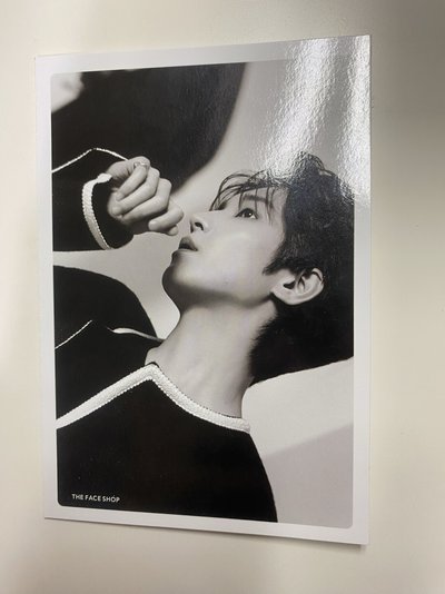 The face shop 圓佑風琴卡