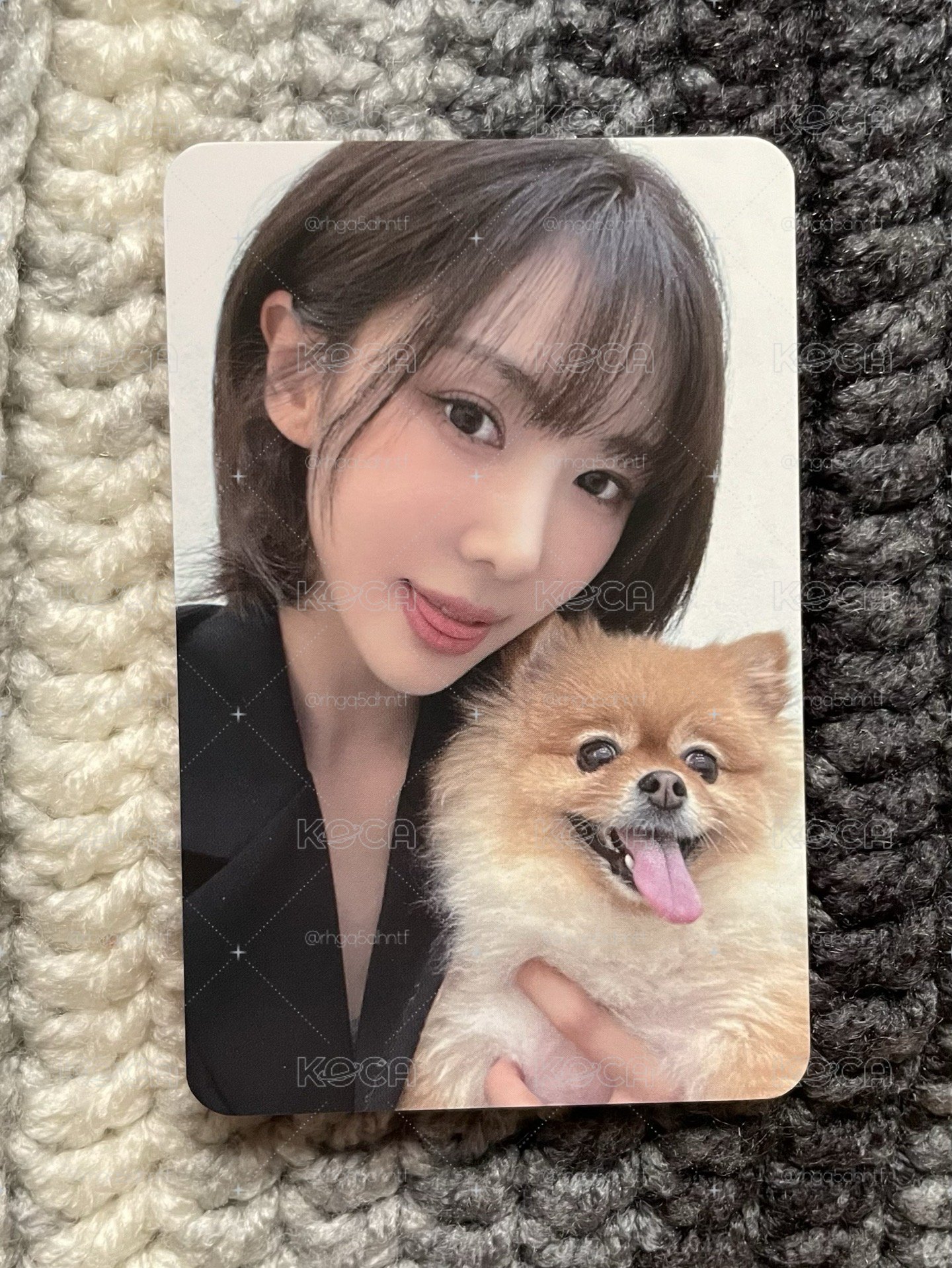 Yoohyeon 迷一 PetCAM特典