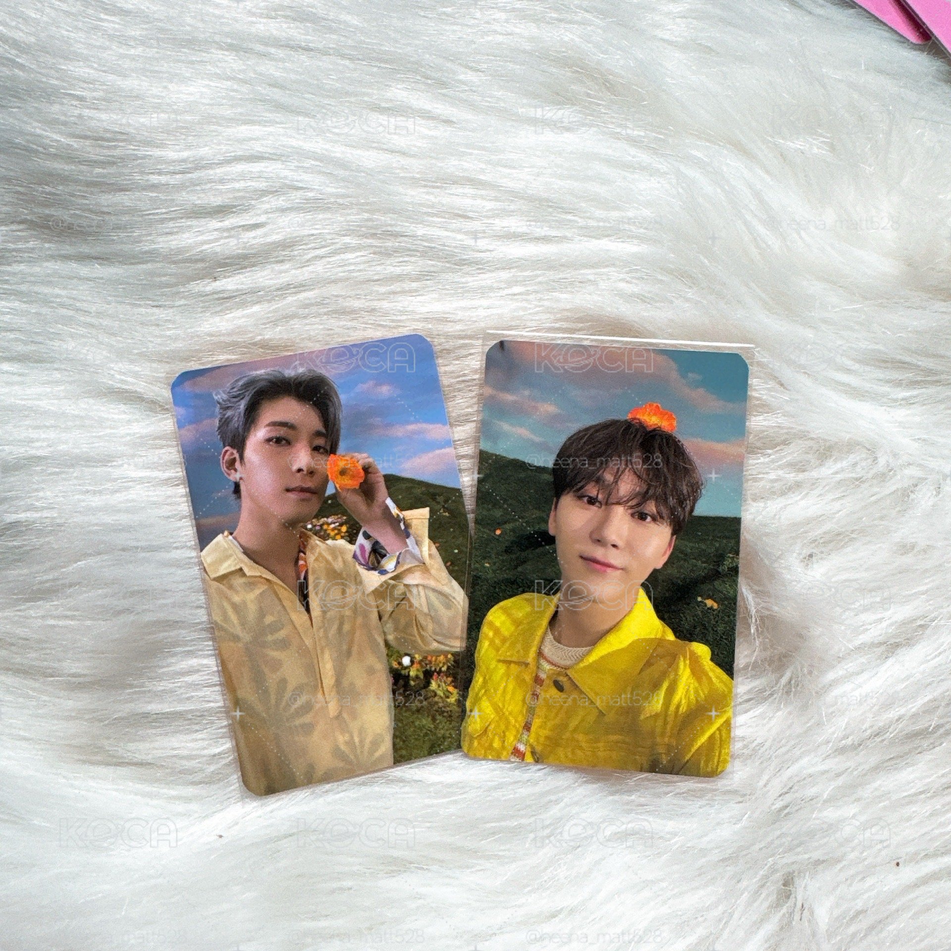 Seventeen Sector17 PST 幸運卡兩張不拆