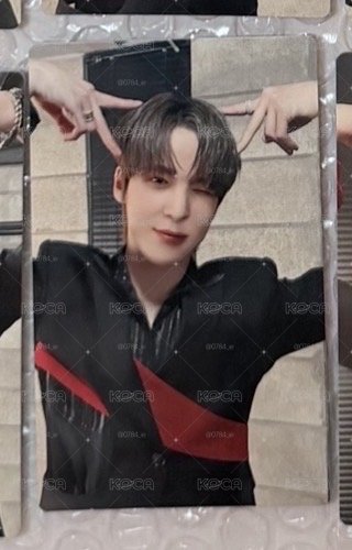 扮貓咪的小狗 🐶