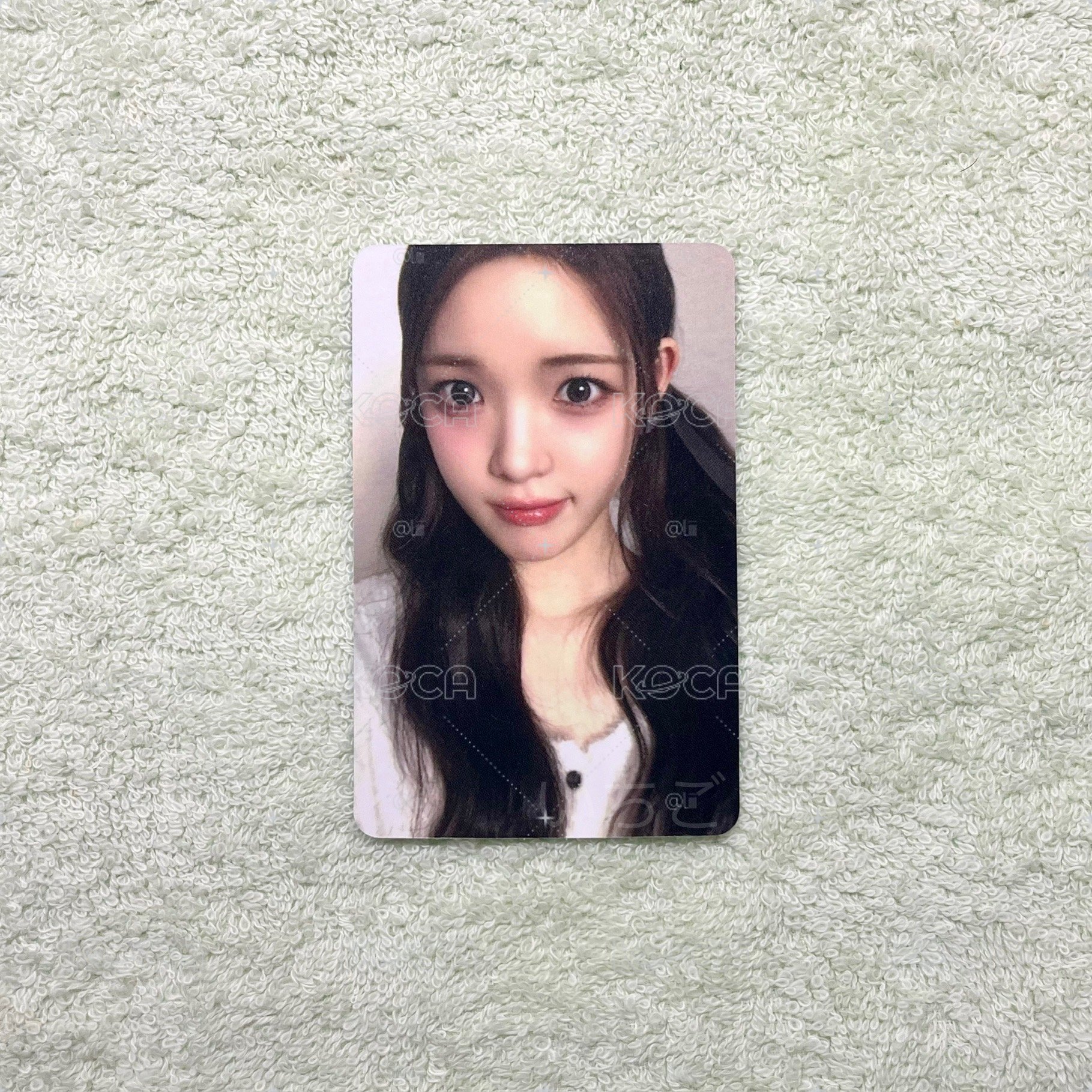Yuha🎀FOCUS SR廣州簽售2.0 C特典