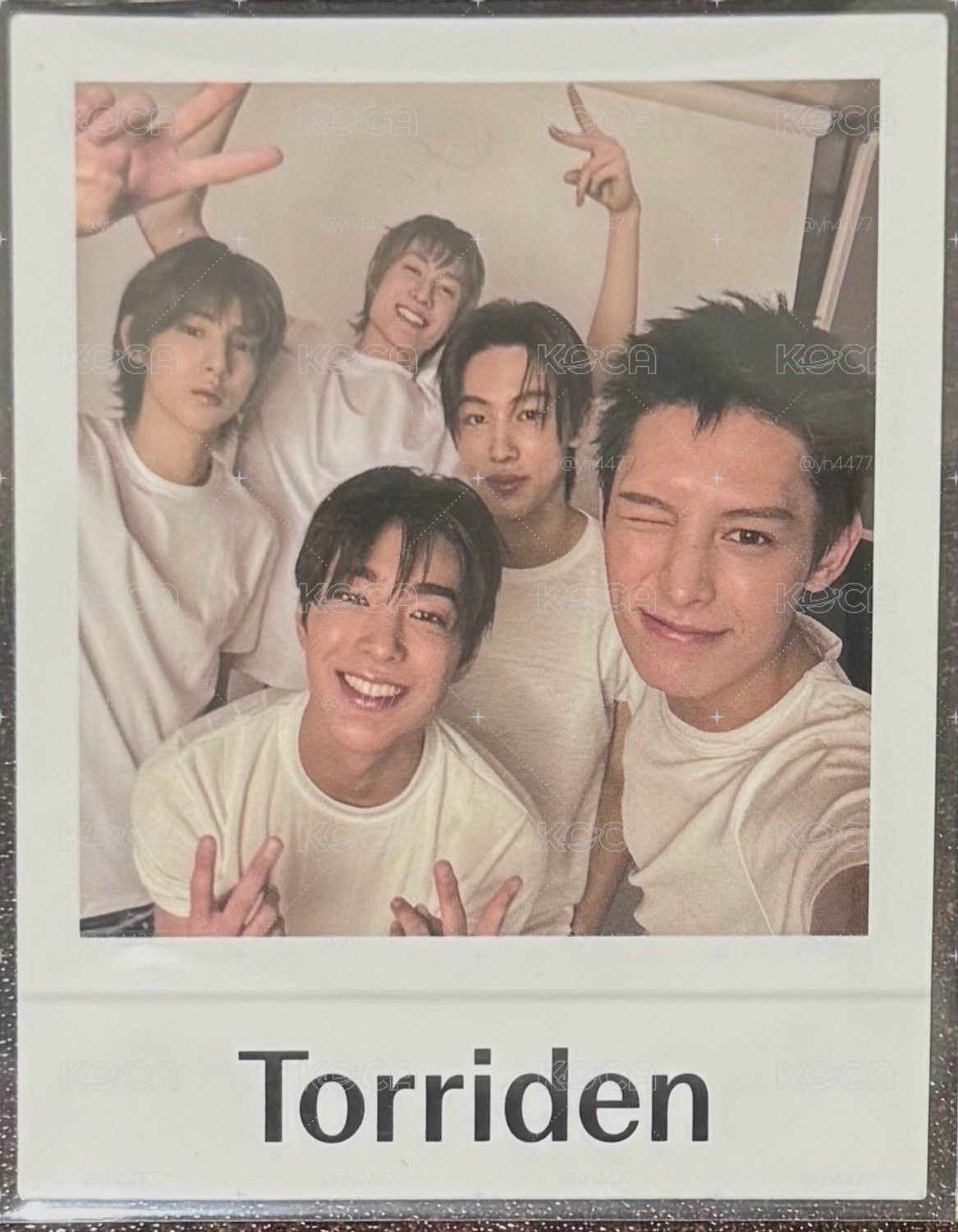 Torriden x CORTIS