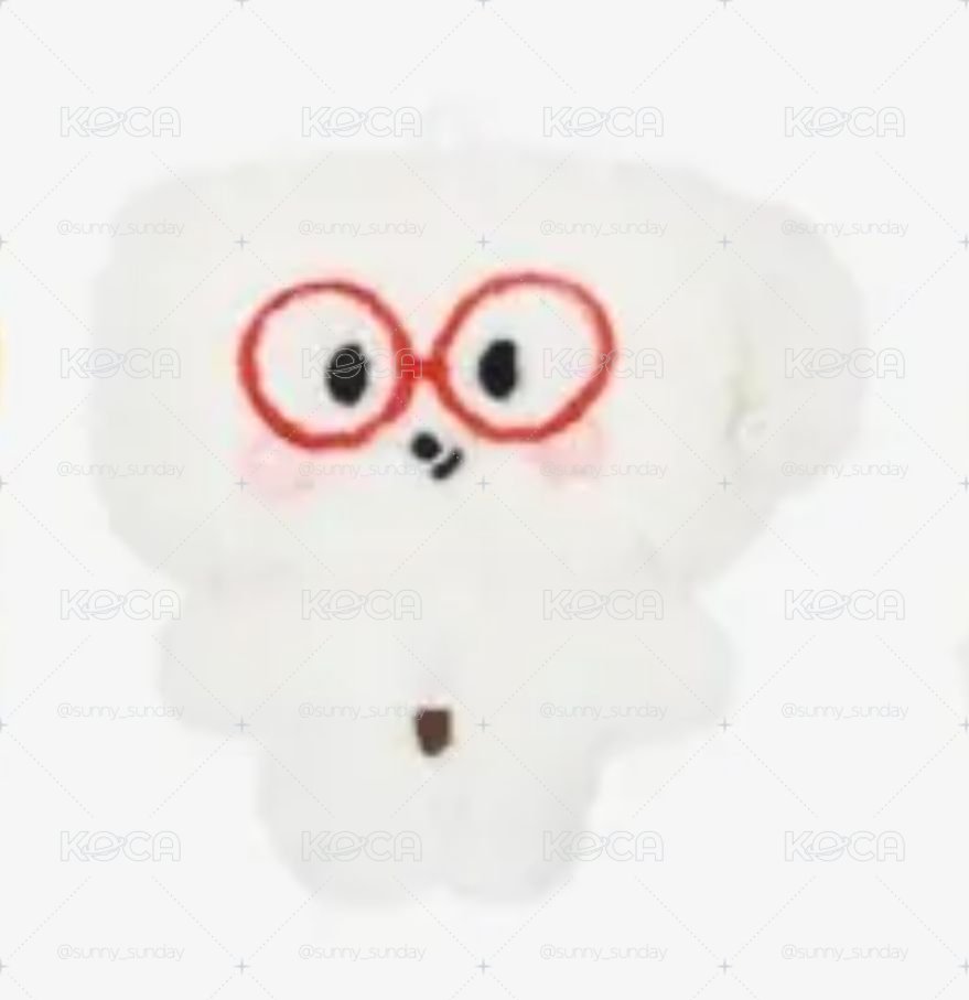 非現貨 NMIXX 海嫄 飯咪小娃