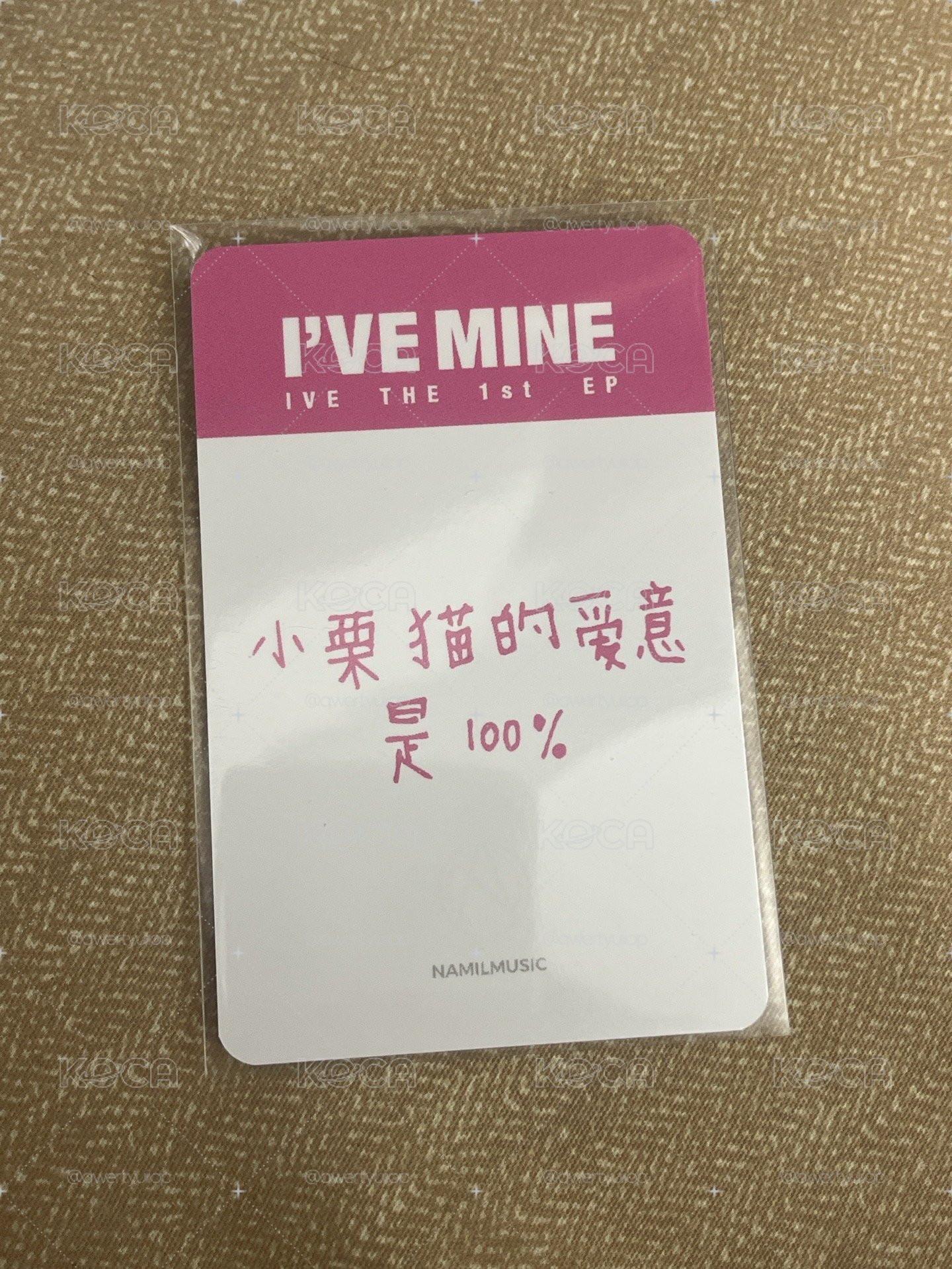 中背栗