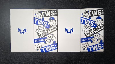 【全新現貨】TWS｜應援手燈