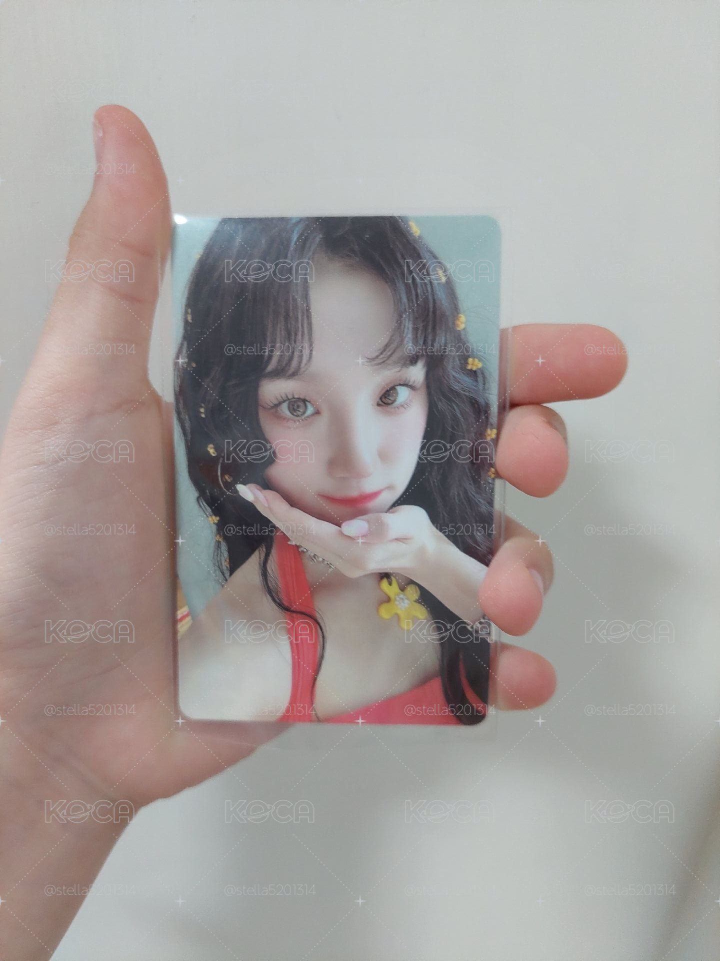 捧臉琦