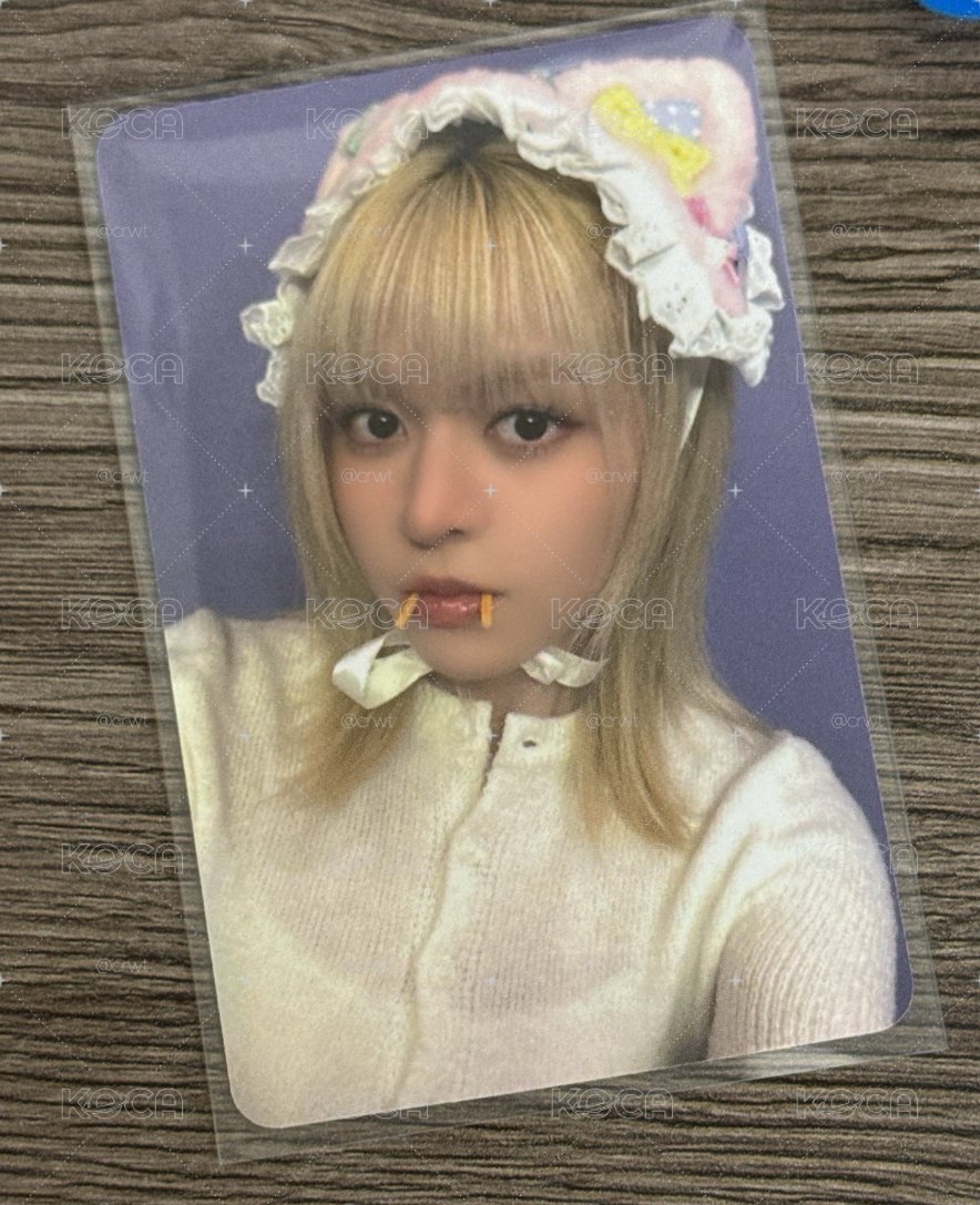 吸血鬼莉莉貓問你要帶她回家嗎