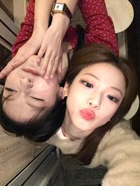 로야