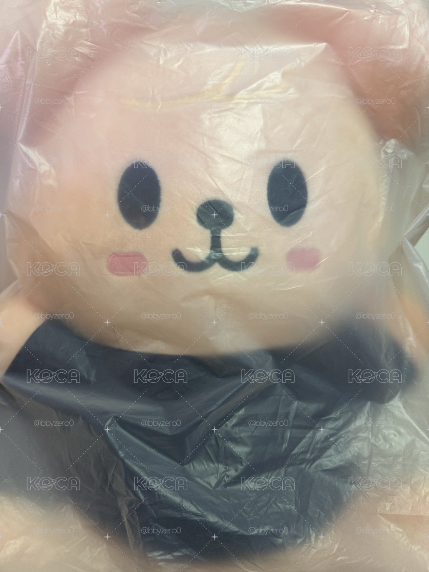 帕皮小盤