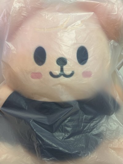帕皮小盤