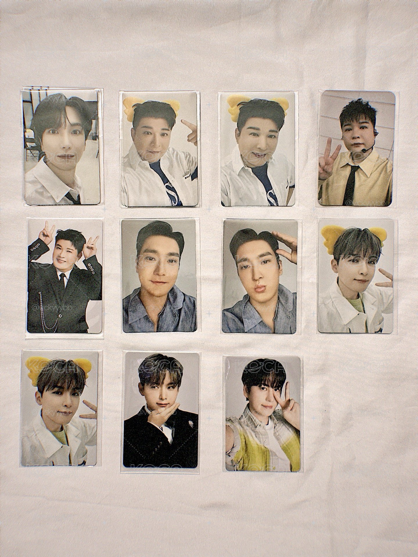 Super Junior 小熊餅乾卡+外盒 不含餅乾