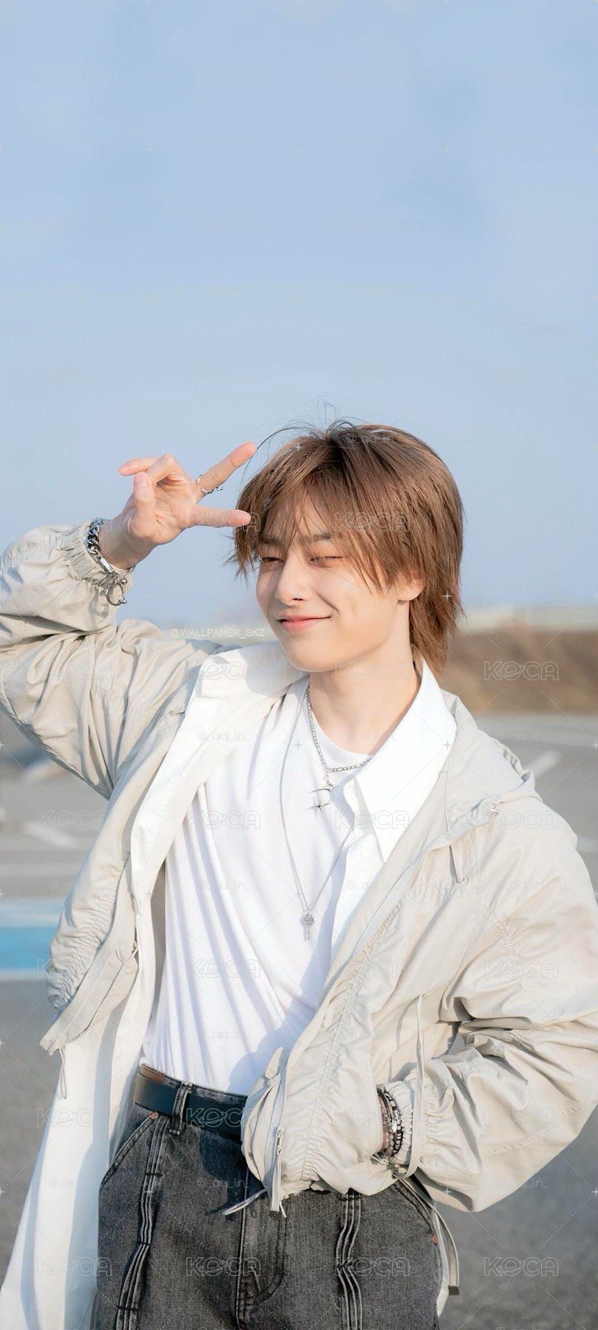 🦊狐狸盤🦊