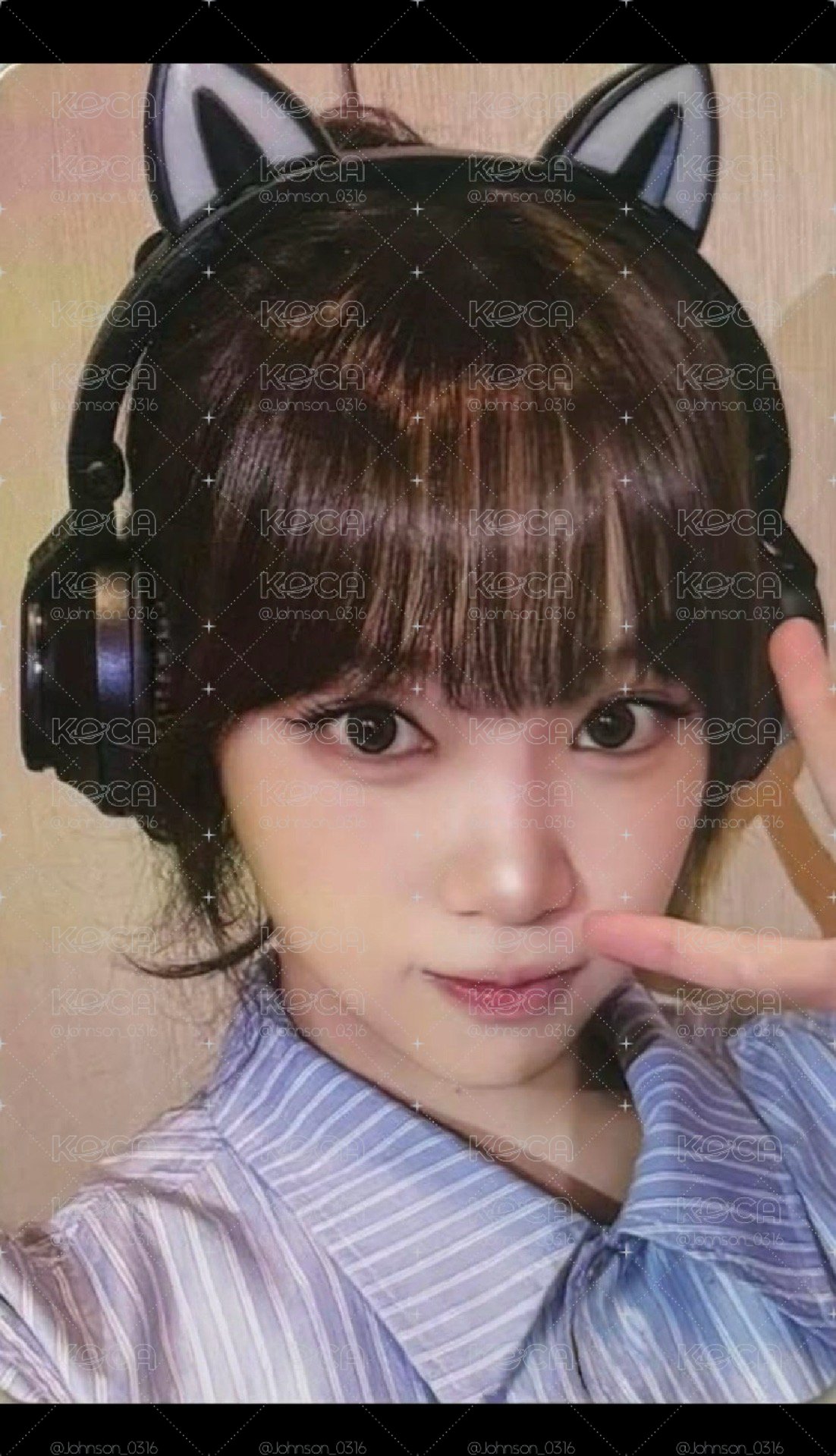 現貨 貓耳采