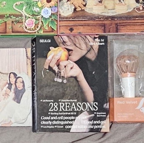 28 reasons 全專
