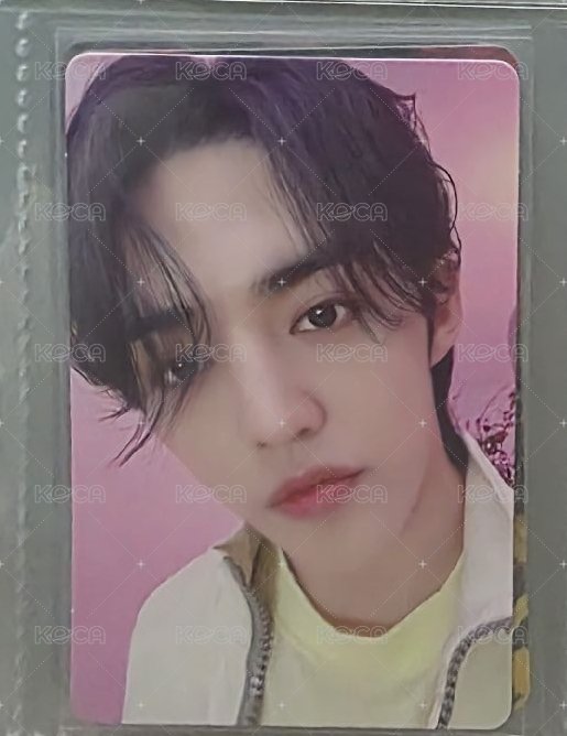 哲 a盤