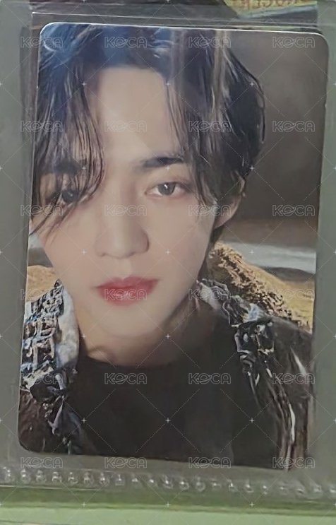 哲 D盤