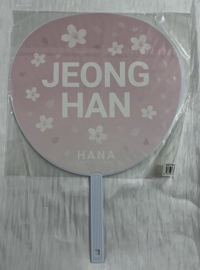 19‘FM HANA 扇子 