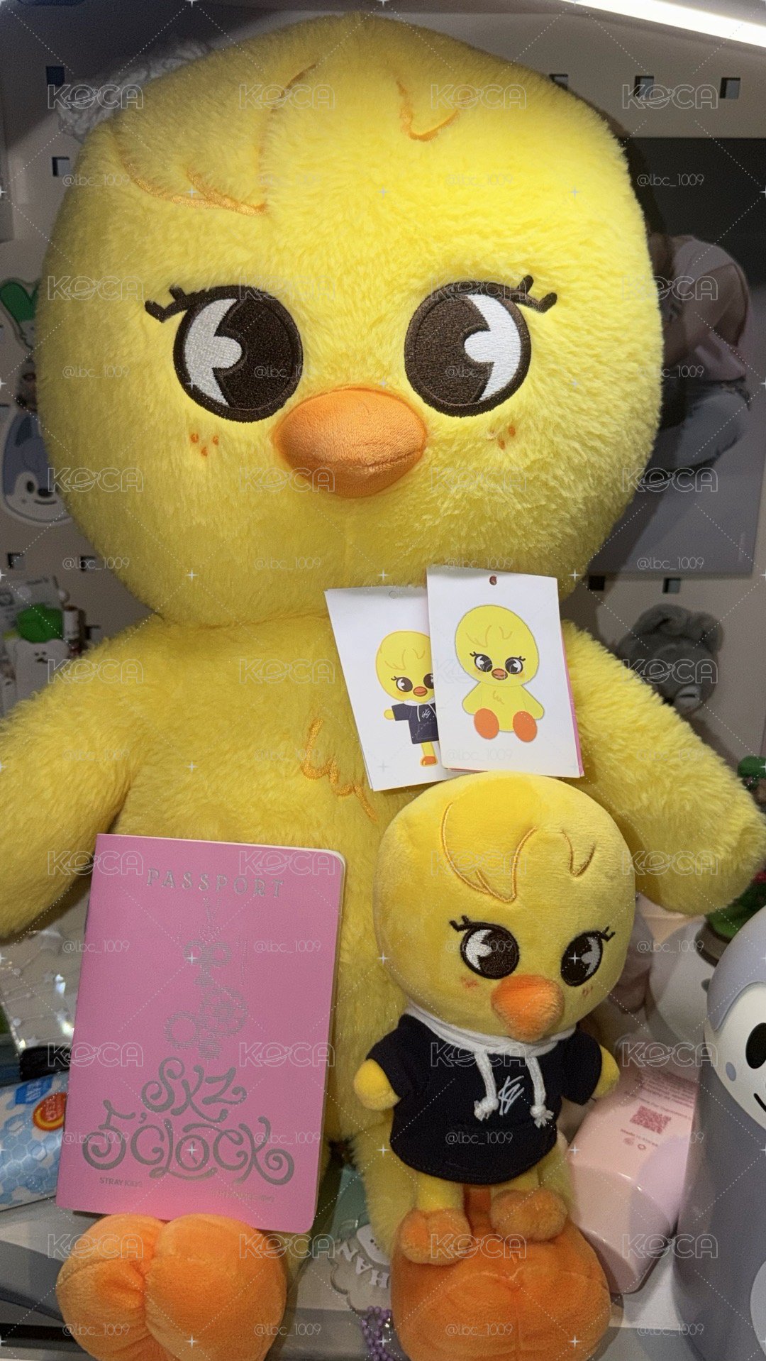 菲小娃