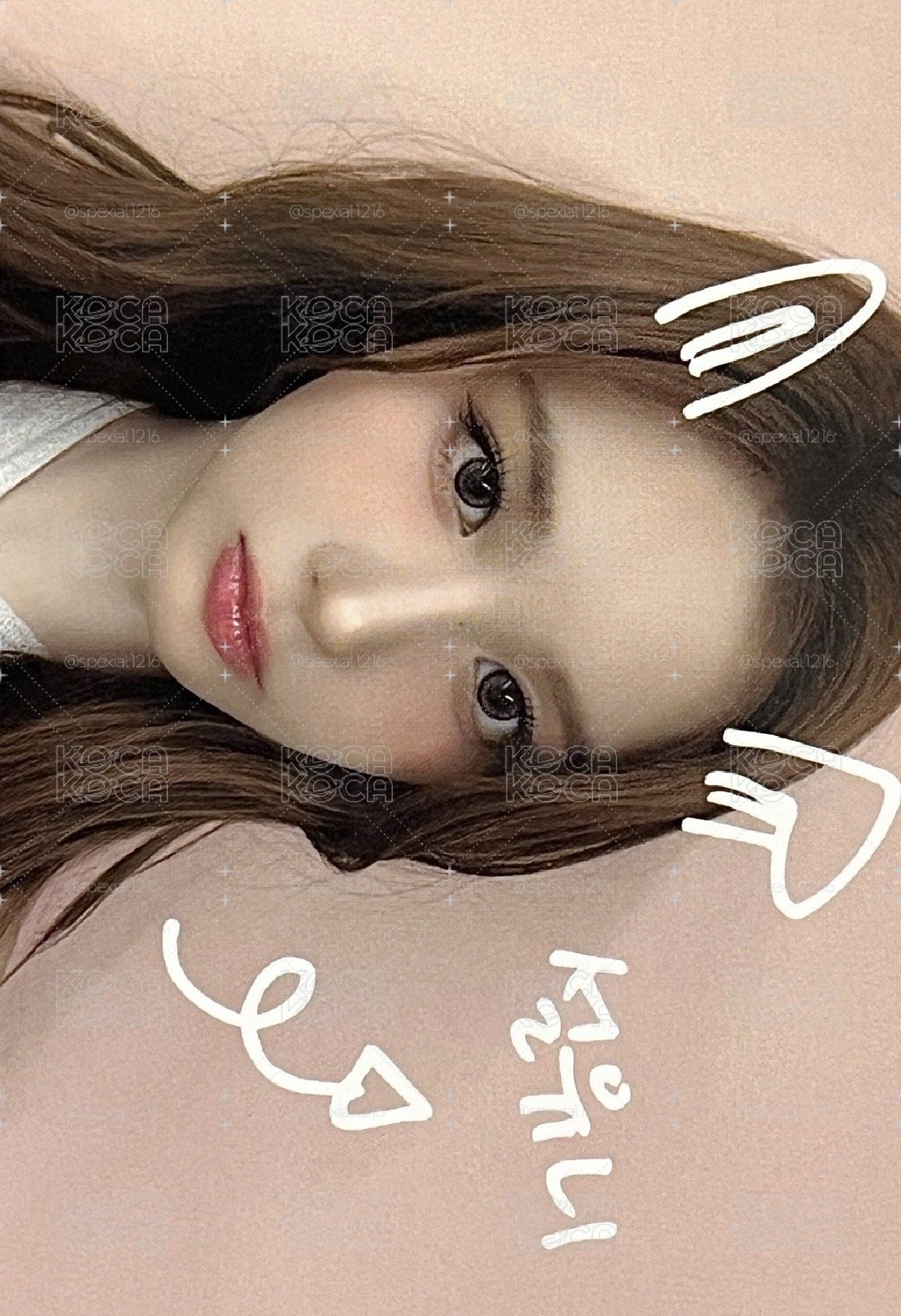 寵物鏡頭 薛