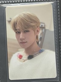 張真源造夏a