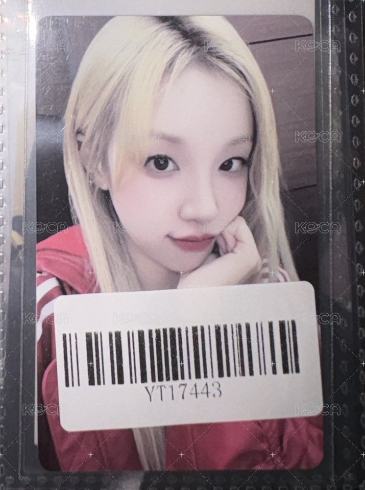 v4琦