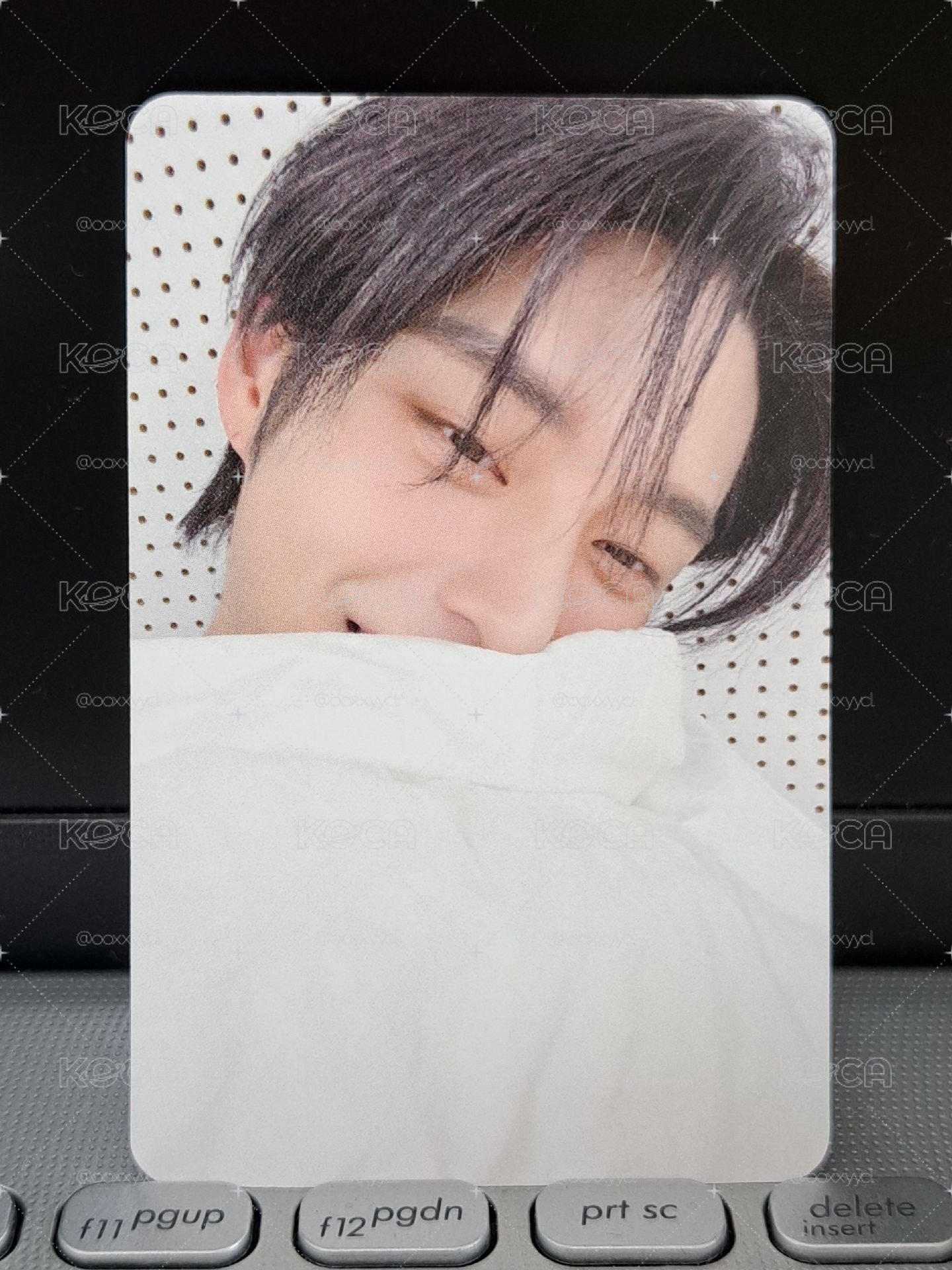 sr 棉被雄 貓貓老婆專屬身份卡
