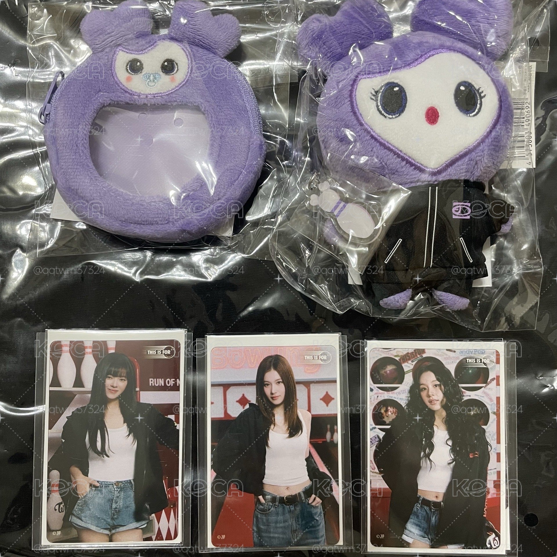現貨 SANA徽章套+新國立娃 全新未拆 整圖販售