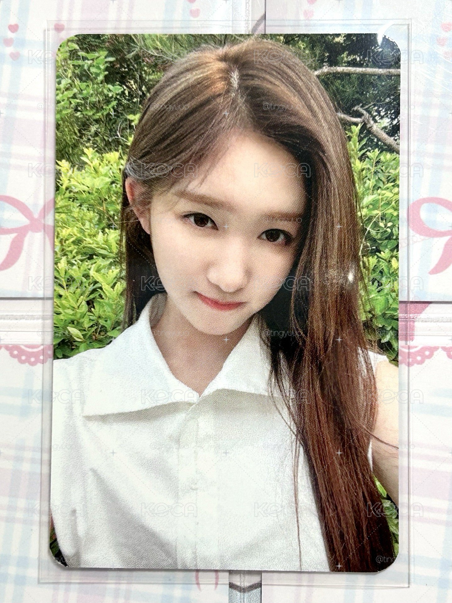 李瑞後愛官咖