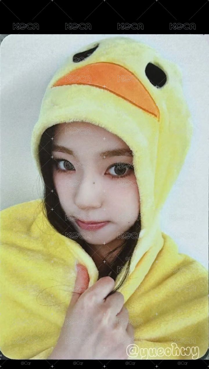 小鴨圭