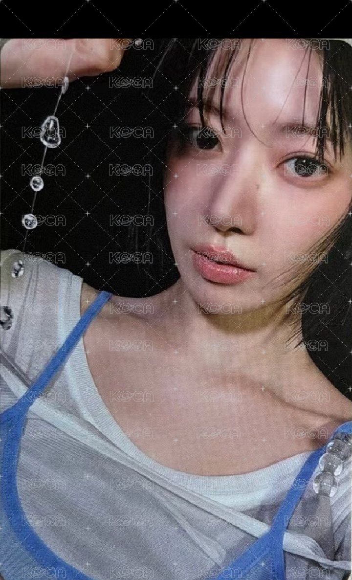 相機專卡櫻