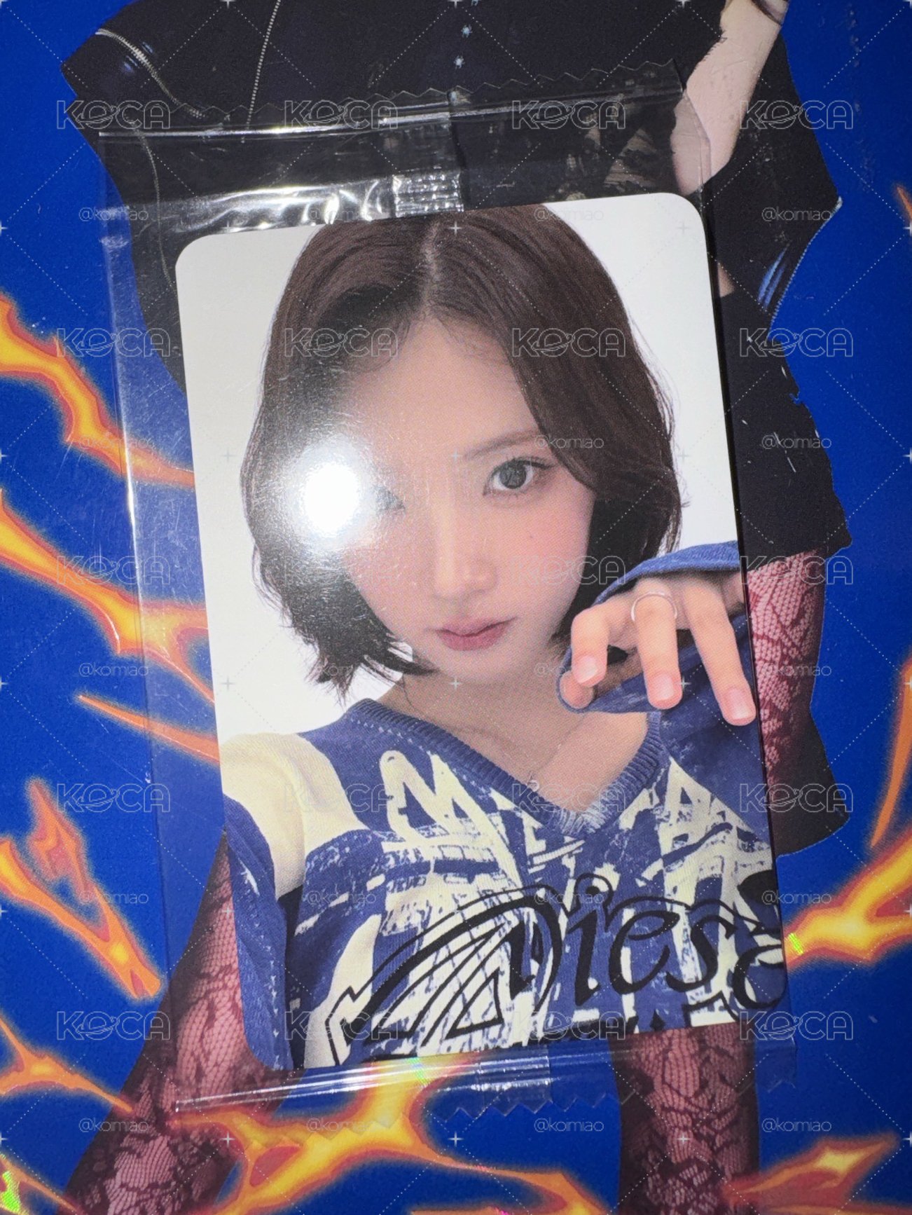 jiwoo dingo