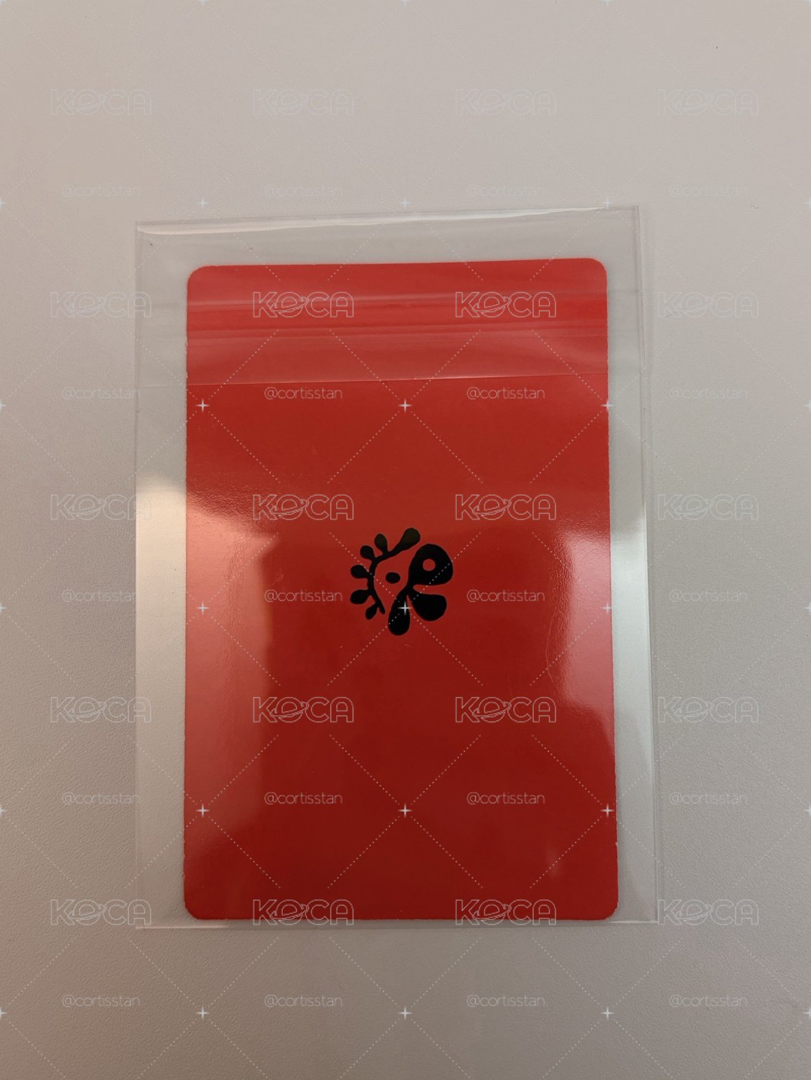 迷二 骰專卡 安安 現貨