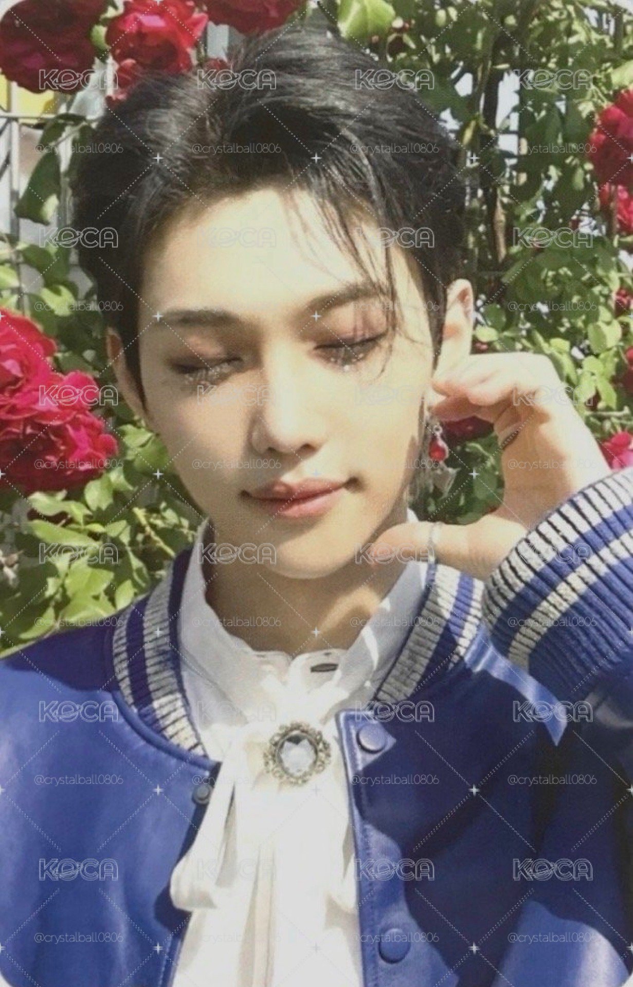 睡美人菲