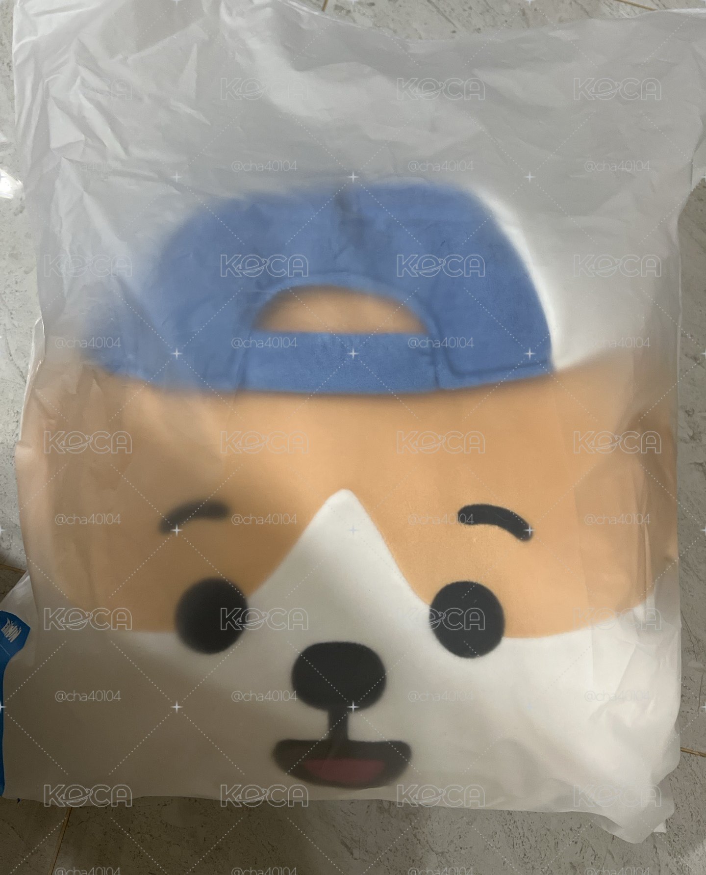 全新✅［開立電子發票🧾］臉部抱枕 JACKY