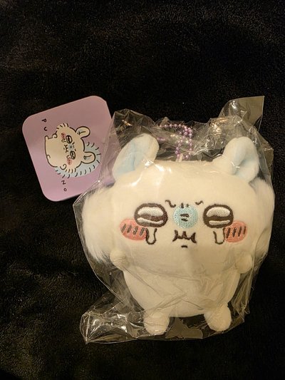 氣噗噗 小桃 全新未拆🩵🩵🌟